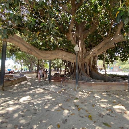 Tropical Loft Leilighet Alicante Eksteriør bilde