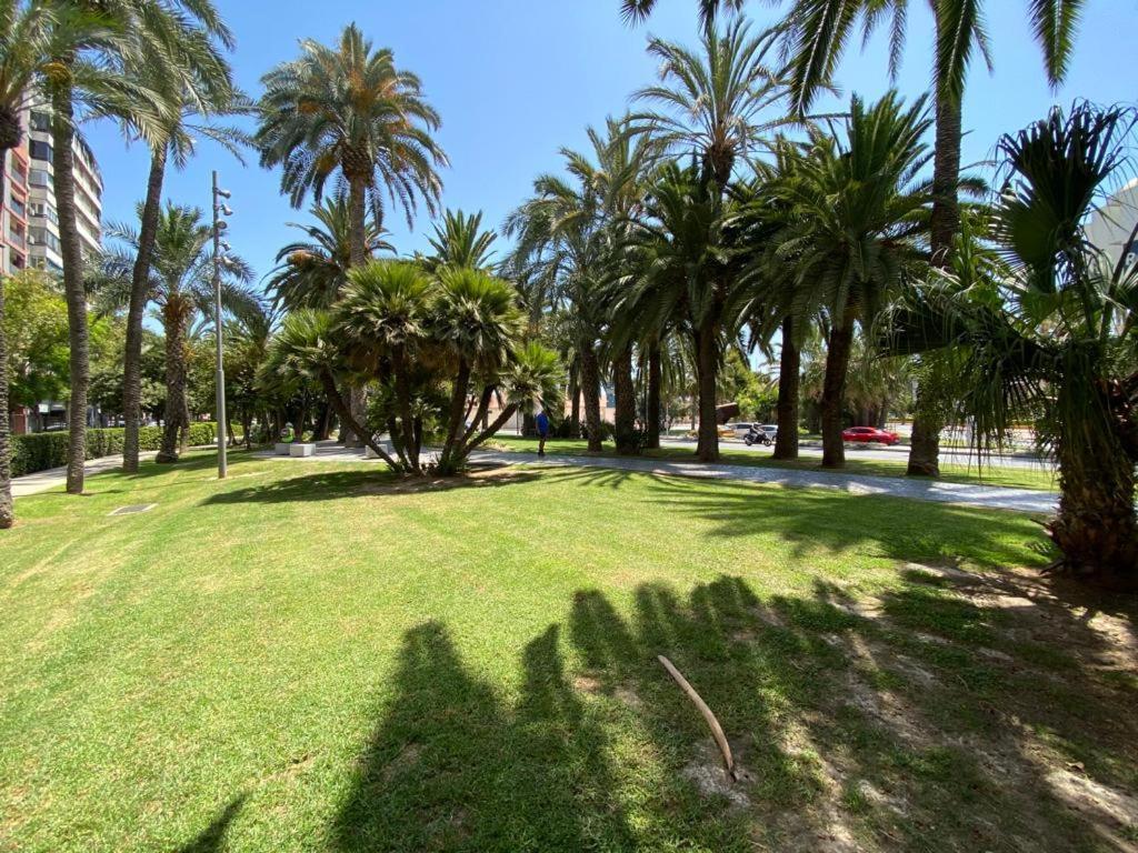 Tropical Loft Leilighet Alicante Eksteriør bilde