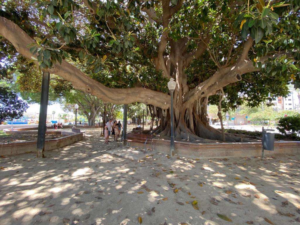 Tropical Loft Leilighet Alicante Eksteriør bilde